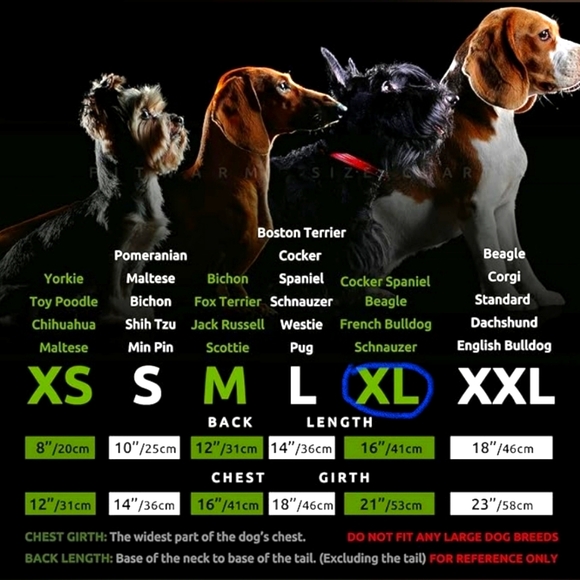 Halloween Fitwarm Skeleton Dog Costume - size XL - Picture 5 of 5